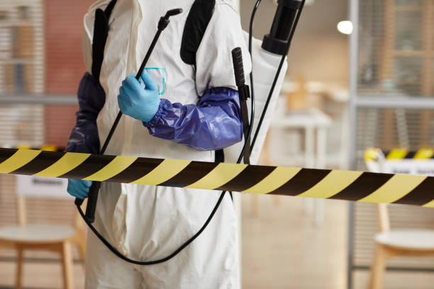 Professional Sewage Cleanup technician working in Louisville, IL